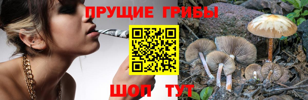 Галлюциногенные грибы MAGIC MUSHROOMS  Вход с VPN  цена наркотик  Вязьма 