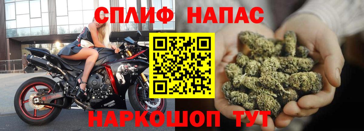 Марихуана OG Kush Вязьма